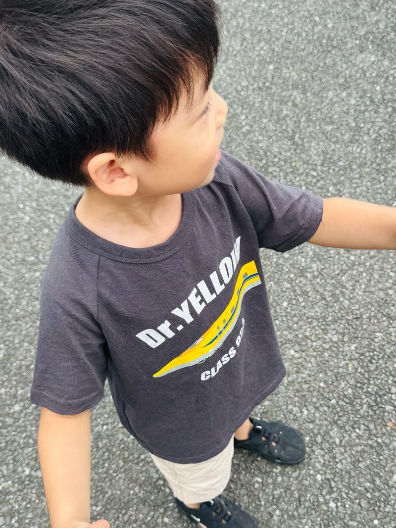 だいた 今は心掛けている散歩の画像