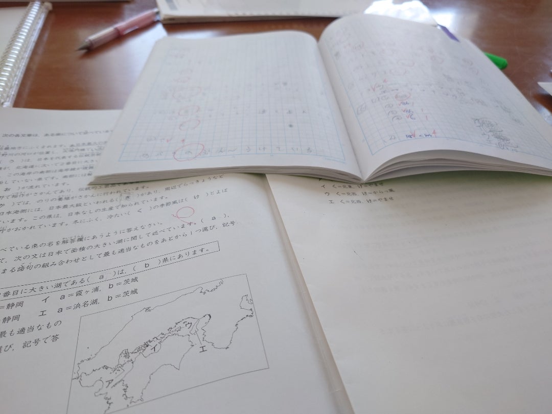 模試の直しで10点ずつ上がった教科の画像