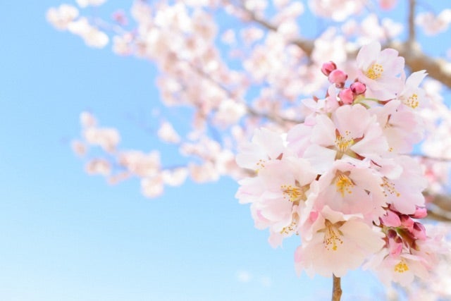 50代ケアマネが顔の帯状疱疹で入院の画像