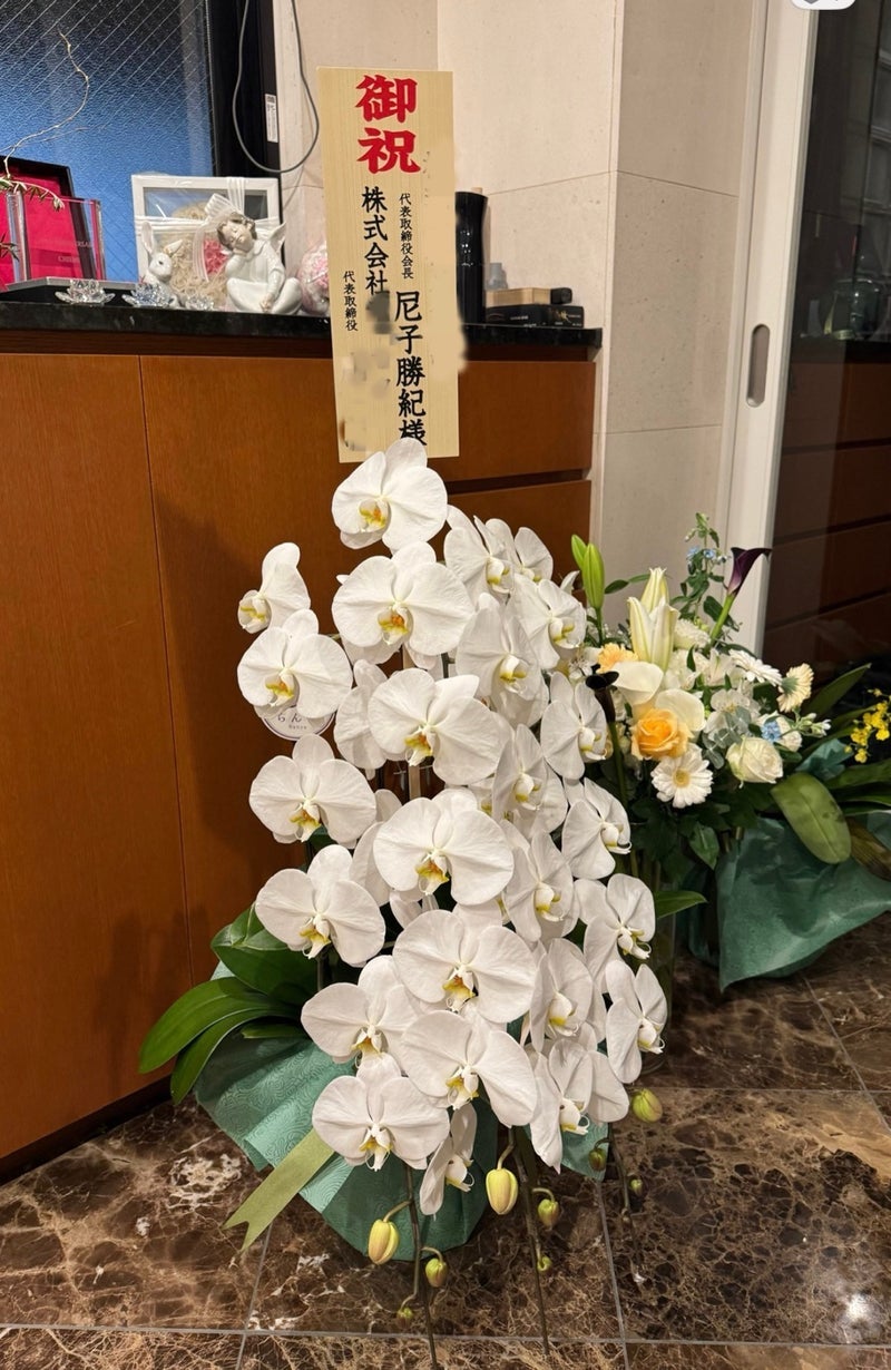 堀ちえみの夫 2ヶ月咲き続ける蘭の画像