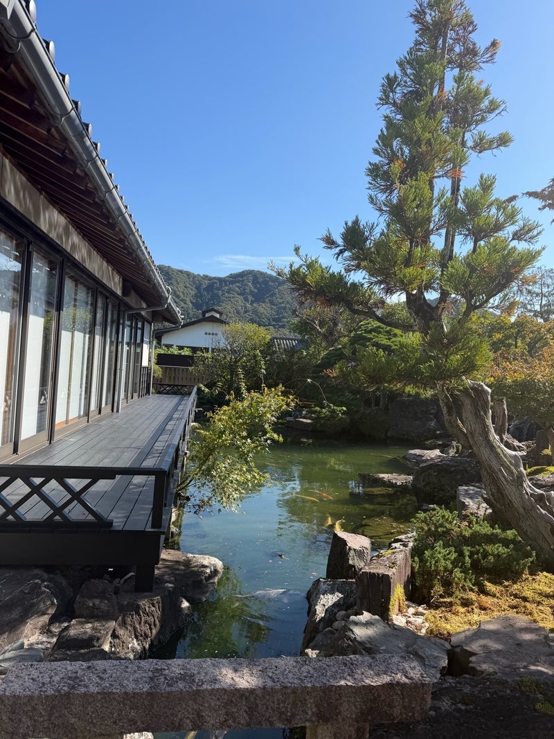 堀ちえみ 宿泊した素晴らしい部屋の画像