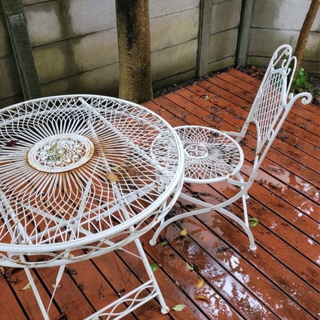 モト冬樹 2個食べると酔うお気に入りの画像