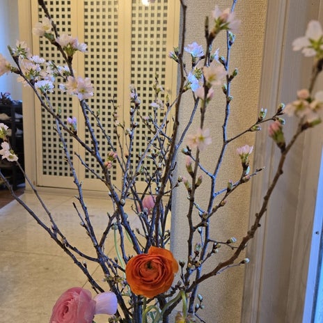 桜が咲き一気に春になった玄関の画像