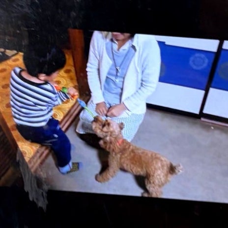 ヒデ 頭がおかしくなったのかと告白の画像