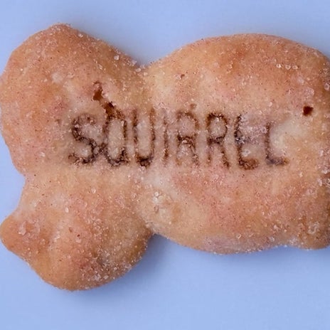 火葬場で係員からされた衝撃の発言の画像