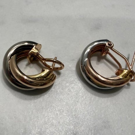 本家と揃いと言われたお試しピアスの画像