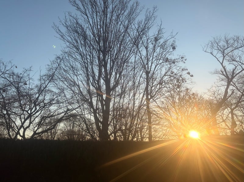 古村比呂 暖かい朝の挨拶と願いの画像