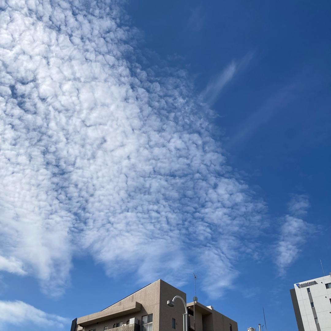 退院後に娘からお願いされた事の画像