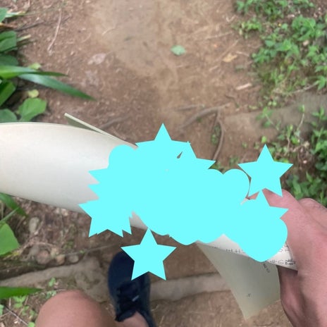 團十郎 散歩中に覚えているセリフの画像