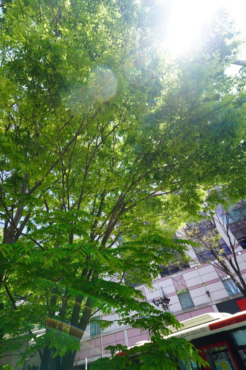 パートナーと離れての引越し準備の画像