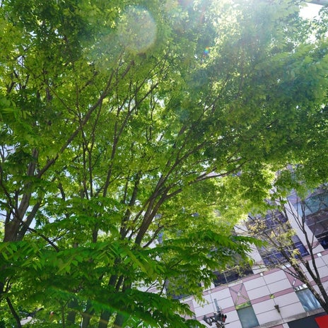 パートナーと離れての引越し準備の画像