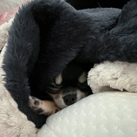 小柳ルミ子 サッカーから沢山の学びの画像