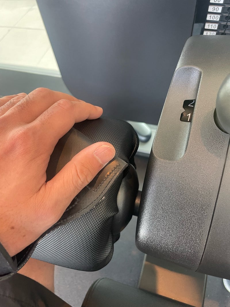 團十郎 トレーニングを今日再開の画像