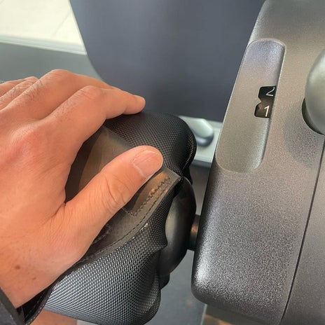 團十郎 トレーニングを今日再開の画像