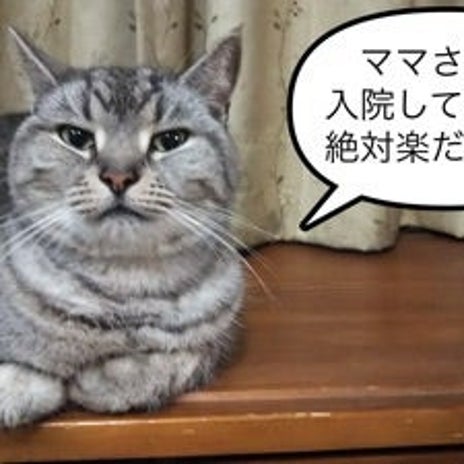 やるつもりが無さそうな夫との話し合いの画像