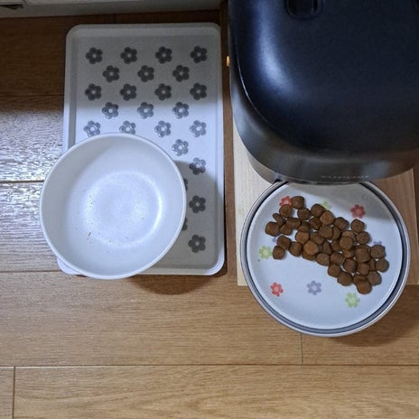 雨の日に急な眠気に襲われ居眠りの画像