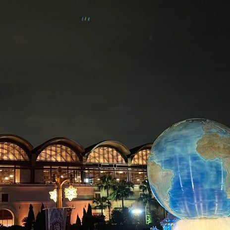 堀ちえみ 徹夜のディズニーシーの画像