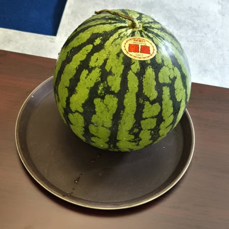 みんなで頂いたお里帰り会の西瓜の画像