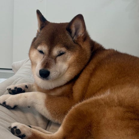 頭かち割れそうなくらいの頭痛の朝の画像