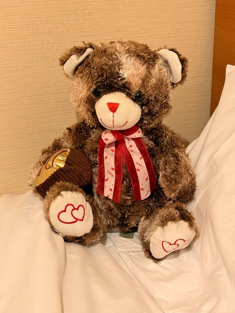 旦那の代わりに連れてきたTeddyの画像