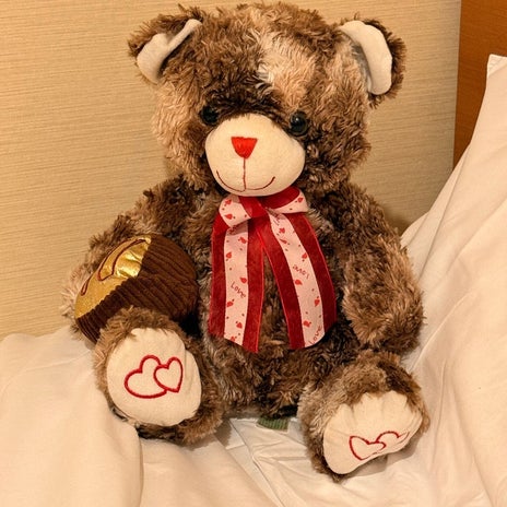 旦那の代わりに連れてきたTeddyの画像