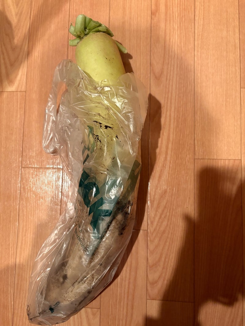 料理が苦手で丸々1本消化する大根の画像