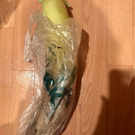料理が苦手で丸々1本消化する大根の画像