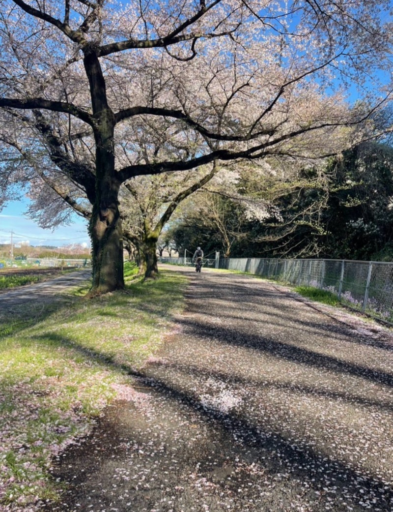 原田龍二の妻 息子の部屋で寝る娘の画像