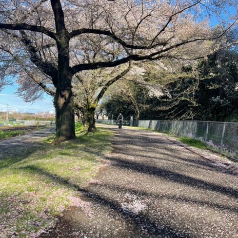 原田龍二の妻 息子の部屋で寝る娘の画像