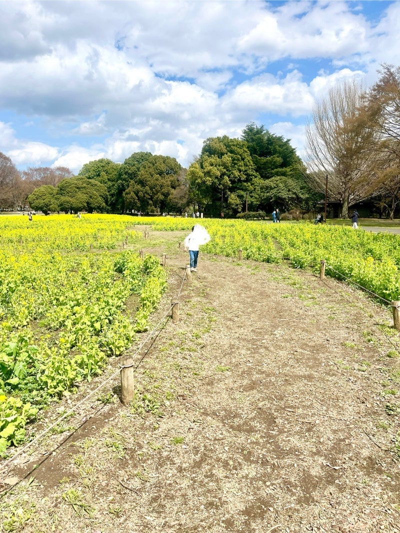 三男が喜んだ好みが合うお友達の画像
