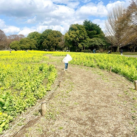 三男が喜んだ好みが合うお友達の画像