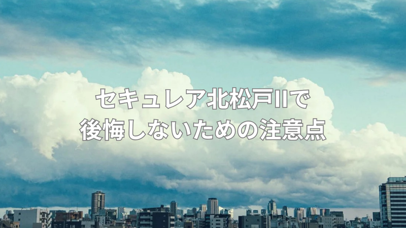 30年保証でも保証外になる項目の画像