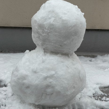 細川直美 酷い汚れの車を洗車の画像