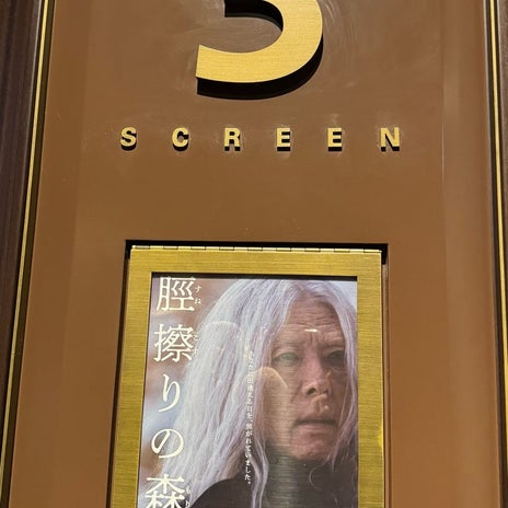 堀ちえみの夫 映画を観て考えた事の画像