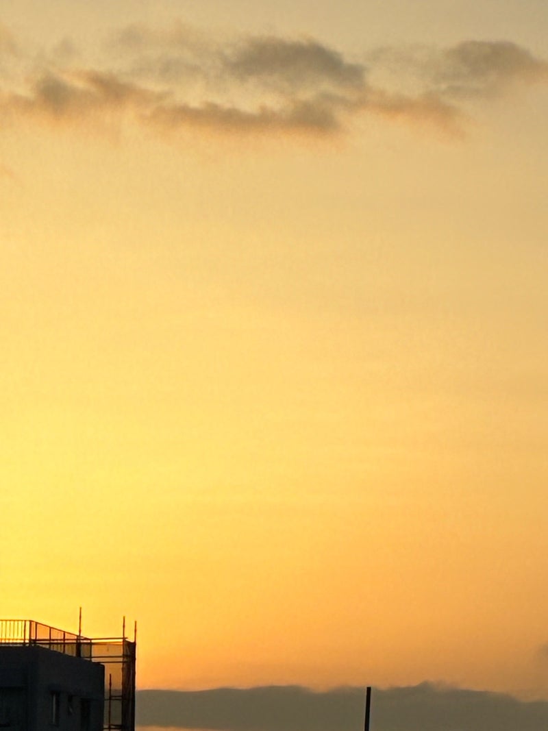 田中健 俳優の毒舌はサービス精神の画像