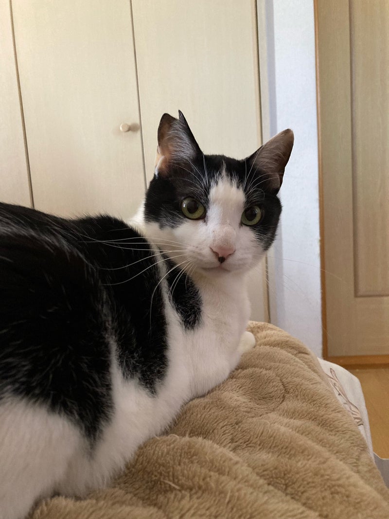 ヴァンクリならしないぞんざいな扱いの画像