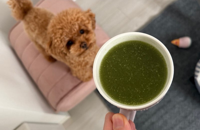 体を休ませるための置き換え品の画像