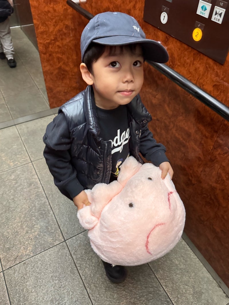 だいた ぬいぐるみの洗濯に悩みの画像