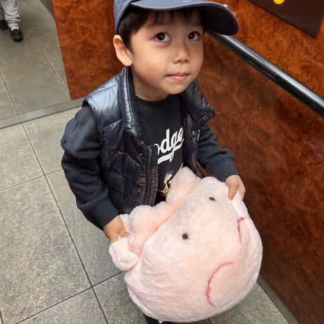 だいた ぬいぐるみの洗濯に悩みの画像