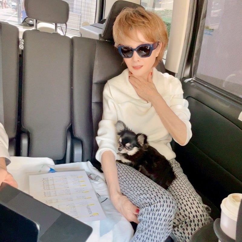 小柳ルミ子 優秀な愛犬マネージャーの画像