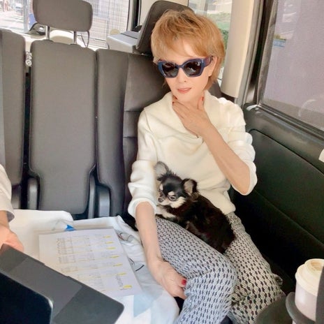 小柳ルミ子 優秀な愛犬マネージャーの画像
