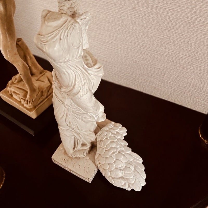 夫の手術前に取れた置き物の羽の画像