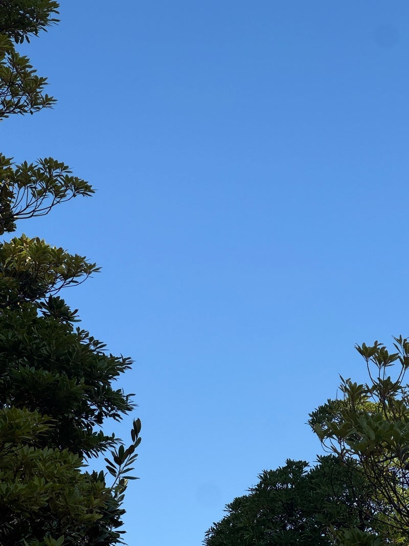 だいた いつもと違う時間の買い出しの画像