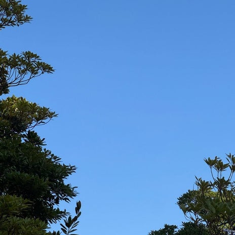 だいた いつもと違う時間の買い出しの画像