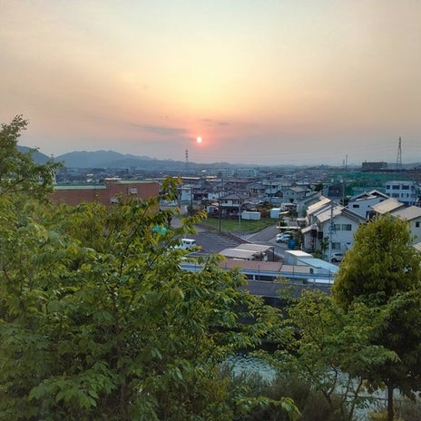 婿さんを辣腕とふれて回った義母の画像