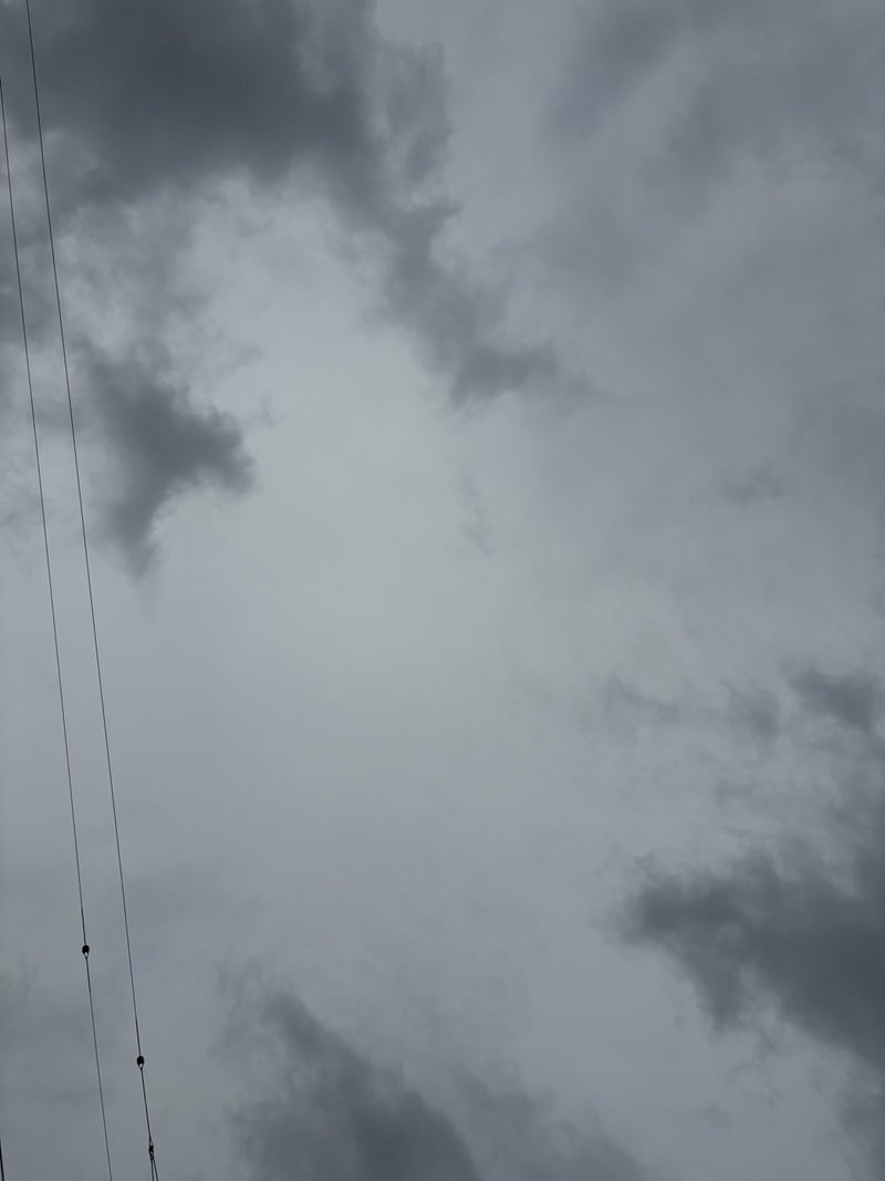 藤あや子 お世話になった方の訃報の画像
