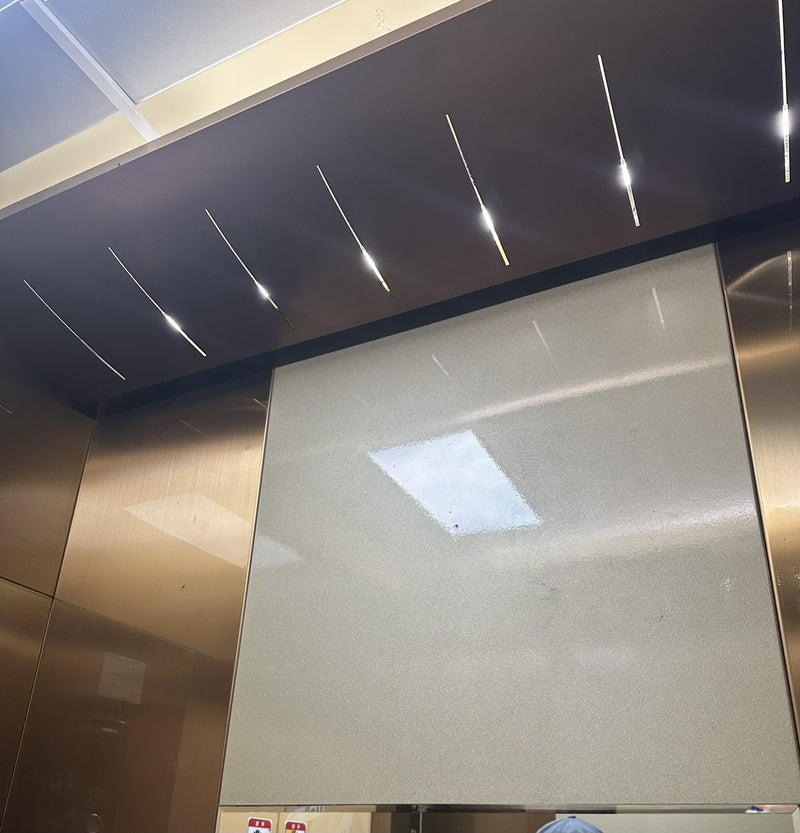 エレベーターが蚊だらけの我が家の画像