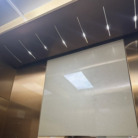 エレベーターが蚊だらけの我が家の画像