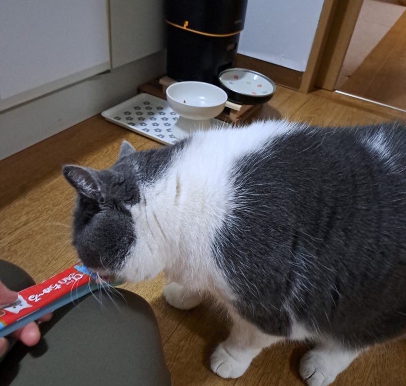 全く眠れず深夜に食べたレモンケーキの画像