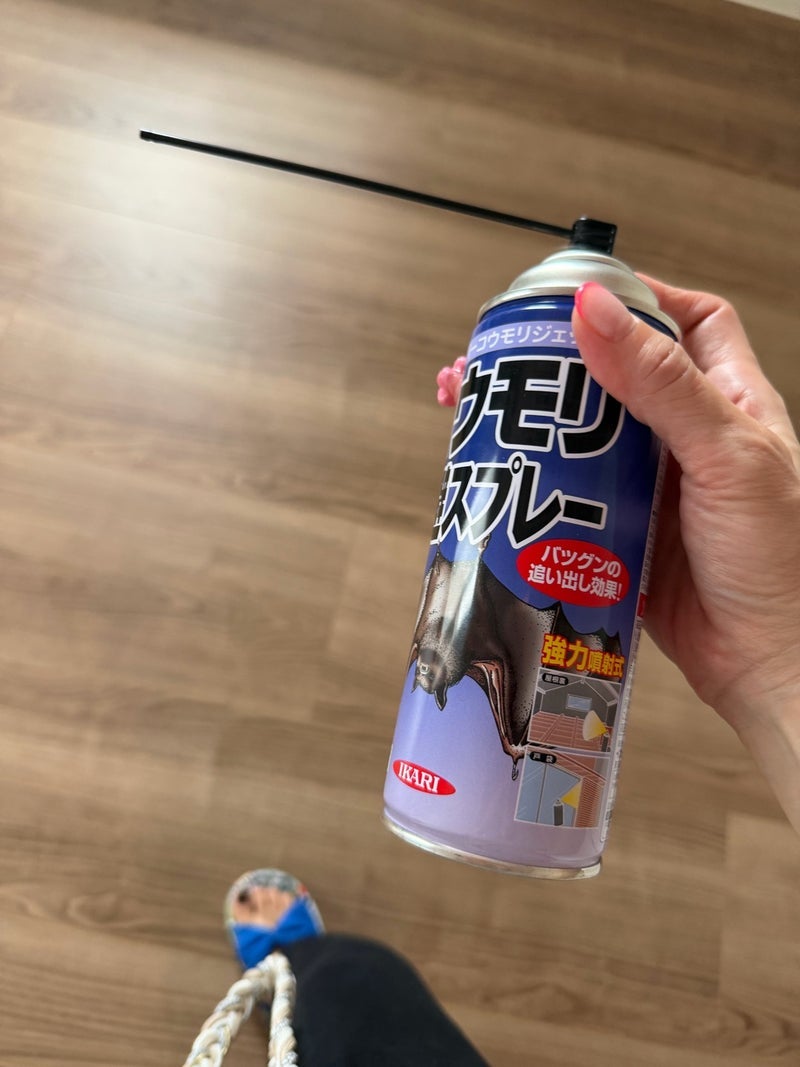 小原 リフォームで後悔した害獣対策の画像